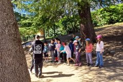 WhatsApp-Image-2026-03-17-at-2.39.58-PM-1