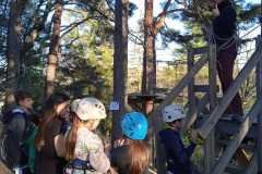 WhatsApp-Image-2026-03-17-at-6.41.36-PM-4