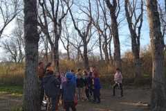 WhatsApp-Image-2026-03-17-at-6.41.37-PM-3