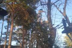 WhatsApp-Image-2026-03-17-at-6.41.39-PM-3