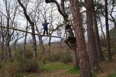 WhatsApp-Image-2026-03-18-at-7.15.39-PM-3