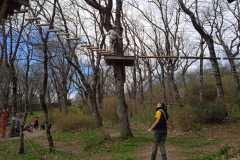 WhatsApp-Image-2026-03-18-at-7.15.39-PM-5