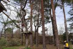 WhatsApp-Image-2026-03-18-at-7.15.39-PM