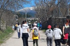 WhatsApp-Image-2026-03-19-at-8.25.40-PM