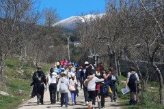 WhatsApp-Image-2026-03-19-at-8.25.42-PM