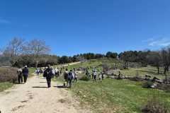 WhatsApp-Image-2026-03-19-at-8.25.52-PM-1