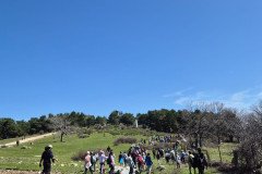 WhatsApp-Image-2026-03-19-at-8.25.52-PM-2