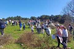 WhatsApp-Image-2026-03-19-at-8.25.53-PM-1