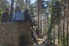 WhatsApp-Image-2026-03-24-at-17.19.39-2