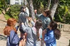 WhatsApp-Image-2026-03-24-at-17.19.58-3