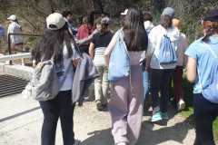 WhatsApp-Image-2026-03-25-at-15.47.14-6