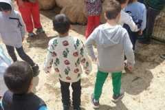 WhatsApp-Image-2026-05-12-at-1.55.04-PM-2