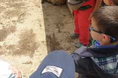 WhatsApp-Image-2026-05-12-at-1.55.04-PM-4
