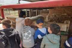 WhatsApp-Image-2026-05-12-at-1.55.07-PM-4