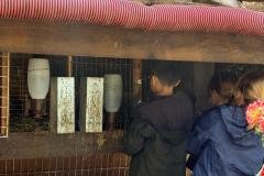 WhatsApp-Image-2026-05-12-at-2.01.21-PM-10
