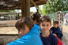 WhatsApp-Image-2026-05-12-at-2.01.21-PM-13