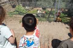 WhatsApp-Image-2026-06-09-at-12.19.34-PM-6
