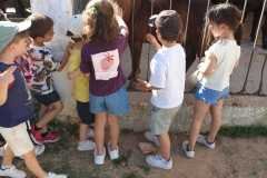 WhatsApp-Image-2026-06-08-at-10.58.41-PM