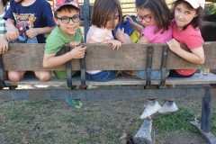 WhatsApp-Image-2026-06-08-at-10.58.51-PM-3