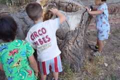 WhatsApp-Image-2026-06-08-at-11.04.01-PM-1