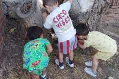 WhatsApp-Image-2026-06-08-at-11.04.01-PM