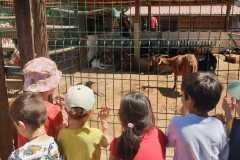 WhatsApp-Image-2026-06-08-at-4.42.07-PM-1