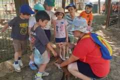 WhatsApp-Image-2026-06-08-at-4.42.20-PM-2