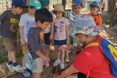 WhatsApp-Image-2026-06-08-at-4.42.20-PM-3