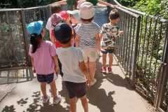 WhatsApp-Image-2026-06-08-at-4.42.21-PM-4