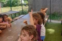 WhatsApp-Image-2026-06-08-at-6.07.47-PM