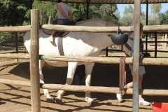 WhatsApp-Image-2026-06-08-at-6.07.48-PM-1