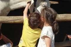WhatsApp-Image-2026-06-08-at-6.07.48-PM