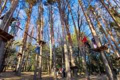 WhatsApp-Image-2026-03-23-at-18.08.08-2