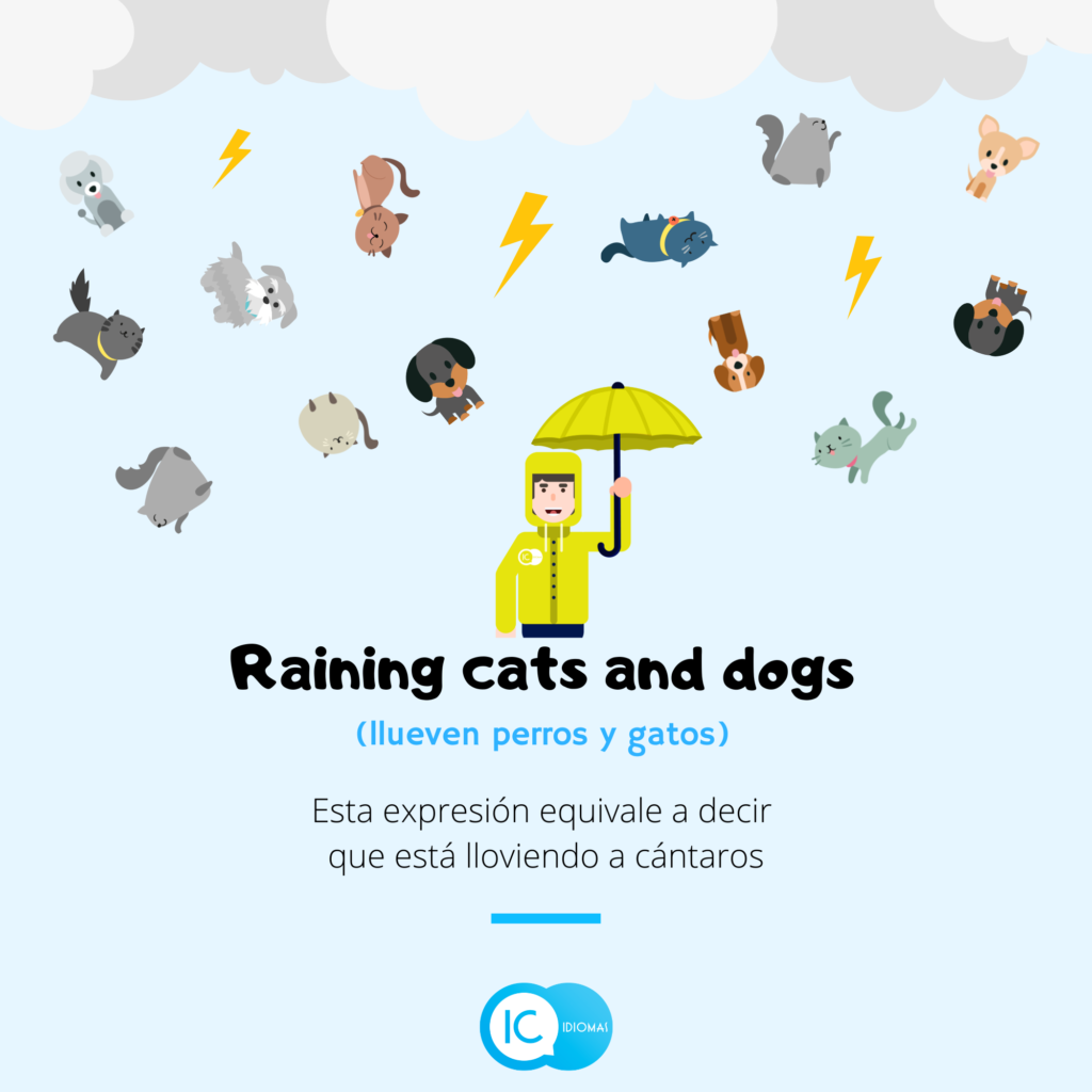 It's raining cats and dogs